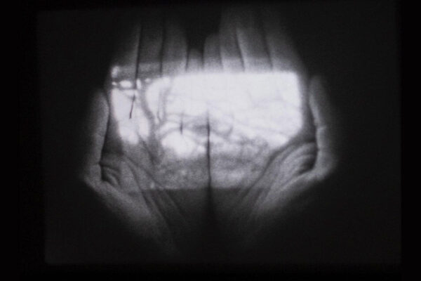 II (Above) | Grace Baggott II (Above) | Grace Baggott