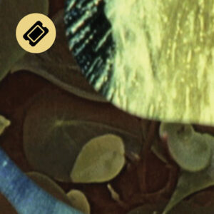 Billet | 24.09.2026 | very abstract and a little bit harsh : films & poetry by Lily Jue Sheng