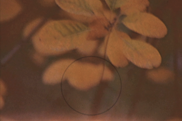 Mercurial Matter | Lily Jue Sheng Mercurial Matter | Lily Jue Sheng